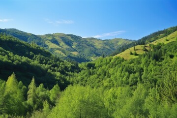 Fototapeta premium reforested mountain range with fresh green trees and blue skies, created with generative ai