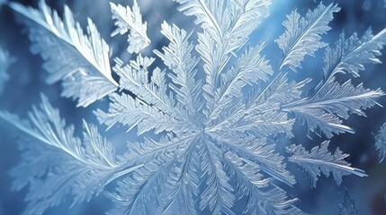 Crystal Frost Windowpane Winter Beauty