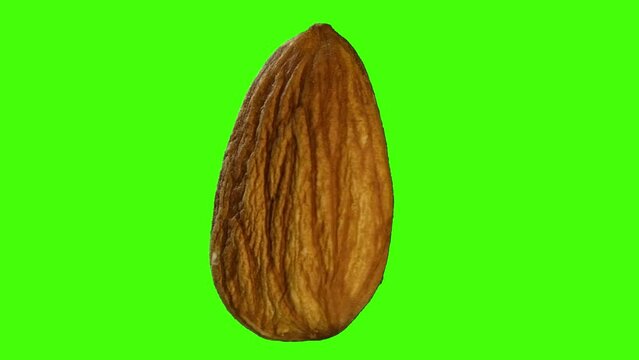 almond grain spinning around itself on green backg