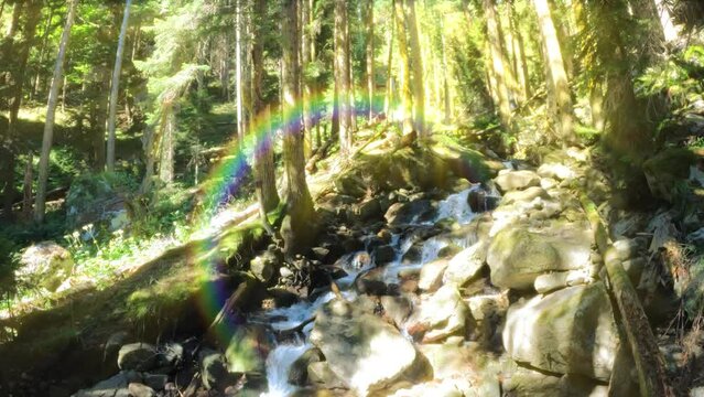 slow motion mountain ridge woods water cascade with rainbow, logs and greenery - tourism