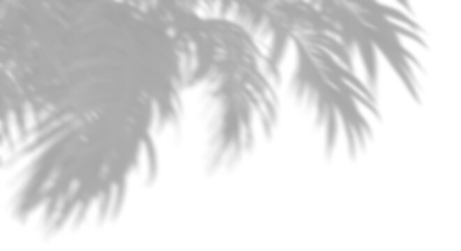 Krit photos, images, assets | Adobe Stock