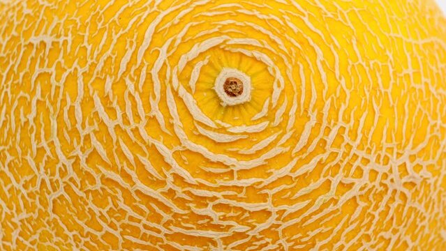 melon rind close-up, background. Textured peel of sweet yellow melon. rotation