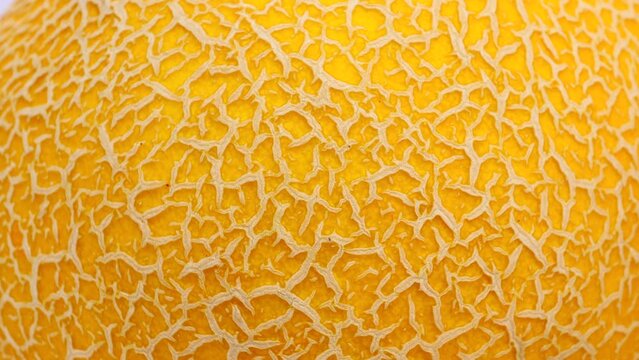 melon rind close-up, background. Textured peel of sweet yellow melon. rotation