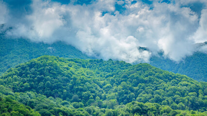 Abkhazia, mountains, tourism, beauty, 2023.