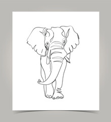elephant line Art Vector Photos.