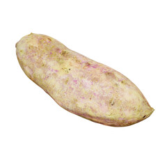 3D Render Realistic Fresh Sweet Potato. Cut Out. Food Element.