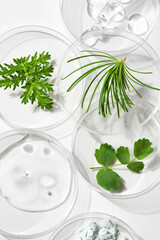 Petri dishes with plants and gel swatches