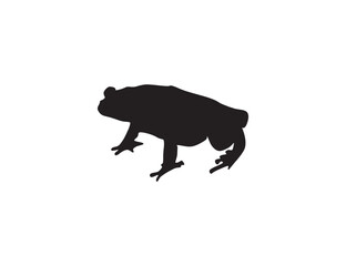 HAND DRAWN FROG ICONS IN VECTOR