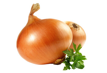 Onion with Herbs on Transparent PNG Background