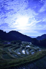 朝日に照らされた初夏の棚田