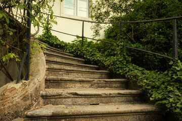 Treppe - Außen - Aufstieg - Alt - Stein - Geländer - Grün - Bewuchs - Bewachsen - Eingang 