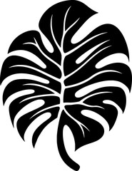 Monstera Leaf