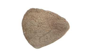 Fototapeta premium Piece of boiled beef isolated on white background. Boiled beef steake meat isolated
