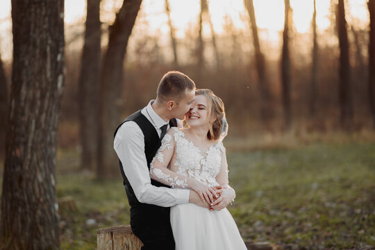 Wedding photo in nature. The groom sits on a wooden stand, the bride stands next to him, leaning on his shoulder. look at each other. Portrait of the bride and groom