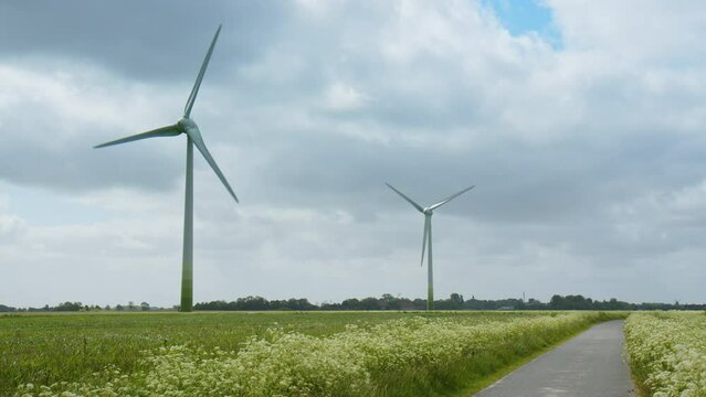 Wind Turbines on a field in East Frisia on a windy summer day in 2023. Cow Parsley moving in the wind along a field road.
