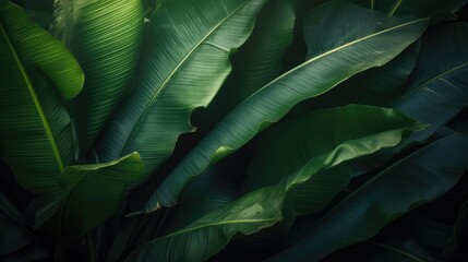 Tropical banana palm leaves texture green background, AI generated.