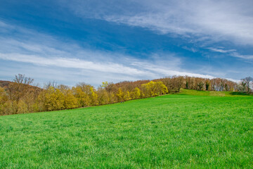 
Beautiful spring landscape on german fields in bavaria riedenburg