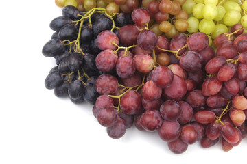 Different kinds of grapes close up with room for text.