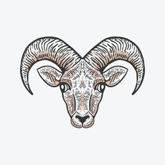 Fototapeta premium goat head hand drawn illustration in vintage style