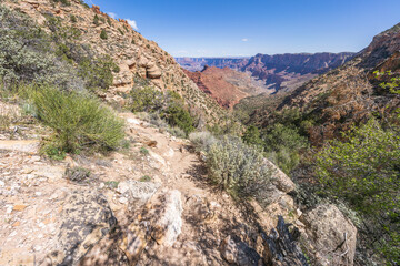 Fototapeta premium Hiking the tanner trail in grand canyon national park in arizona, usa