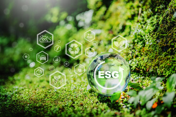 ESG concept ,Sustainable development goal (SDGs) Ideas Globe Glass on green Moss in forest  business based Global communication network.