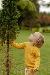 Curious child embracing the enchantment of a beautiful park, her small hands reaching out to touch...