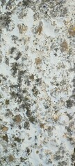 The texture of an old white concrete wall in dents, mold. Photo, background.