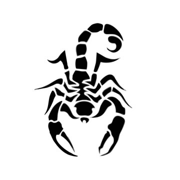 scorpion silhouette isolated on white background
