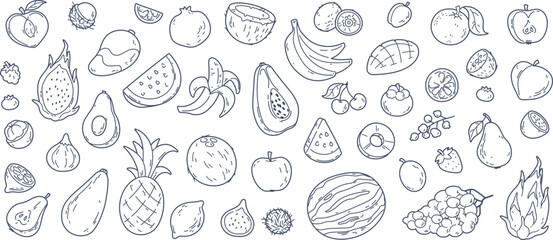 Fototapeta na wymiar Hand drawn exotic fruit doodles, coconut and lemon slices. Cute tropical fruits, dragon fruit, melon slice and berries, vitamin rich food sketch stickers, summer fresh organic ingredients vector set