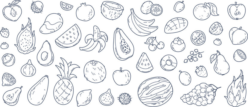 Hand drawn exotic fruit doodles, coconut and lemon slices. Cute tropical fruits, dragon fruit, melon slice and berries, vitamin rich food sketch  stickers, summer fresh organic ingredients vector set