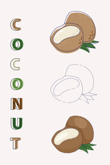 Coconuts with palm leaves isolated on white background. Half a coconut. Summer and paradise icon. Wallpaper, print, wrapping paper, modern textile design, banner, poster. Vector illustration design