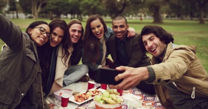Picnic, selfie and friends in park happy, smile and embrace in celebration of freedom. Smartphone, profile picture and group of people with diversity in forest with food for weekend, hangout or chill