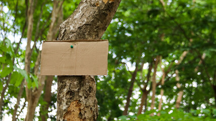 Blank brown paper sign on a tree trunk, concept for forests and environment saving and preservation                               