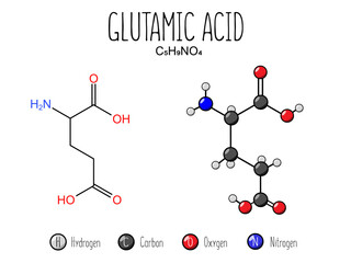 Glutamic acid amino acid representation. Skeletal formula and 2d structure illustration, isolated on white background. Vector editable