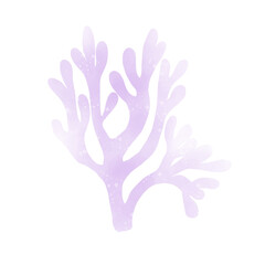 Obraz premium Coral 