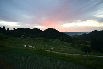 朝日に照らされた初夏の棚田