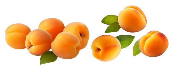 Apricot isolated on transparent background, fruit, png. Generative AI