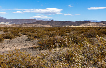 Landscape shot of the Argentinian Pampa in the Province Neuquén - Traveling South America