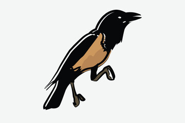 Illustration bird on the branch vector