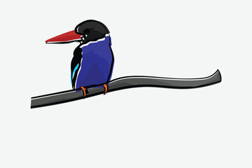 Illustration bird on the branch vector