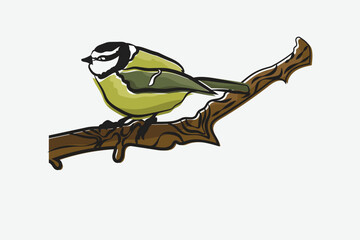 Illustration bird on the branch vector