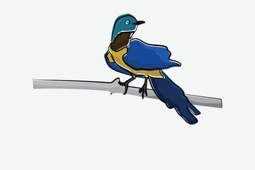Illustration bird on the branch vector