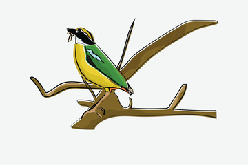 Illustration bird on the branch vector