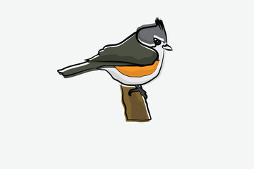Illustration bird on the branch vector