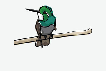 Illustration bird on the branch vector