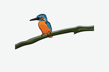 Illustration bird on the branch vector