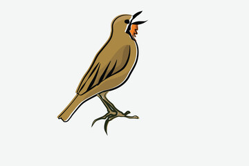 Illustration bird on the branch vector