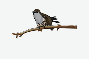 Illustration bird on the branch vector