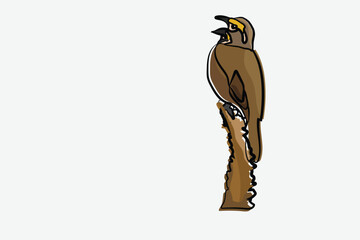 Illustration bird on the branch vector