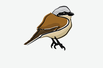 Illustration bird on branch Vector
